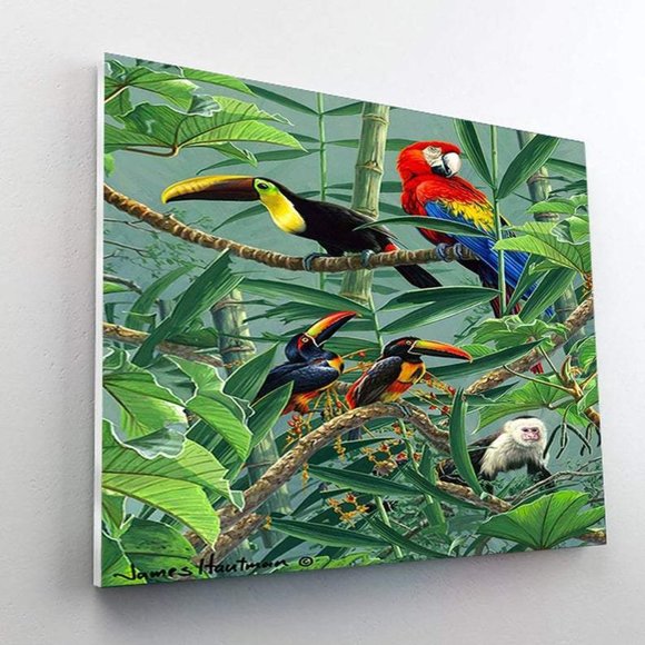 Paint By Numbers Kit Rainforest Menagerie - Picture 4 of 4
